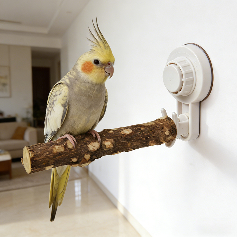 Tempat Tidur Burung Beo dengan - Woodworking Joint ulasan dan harga